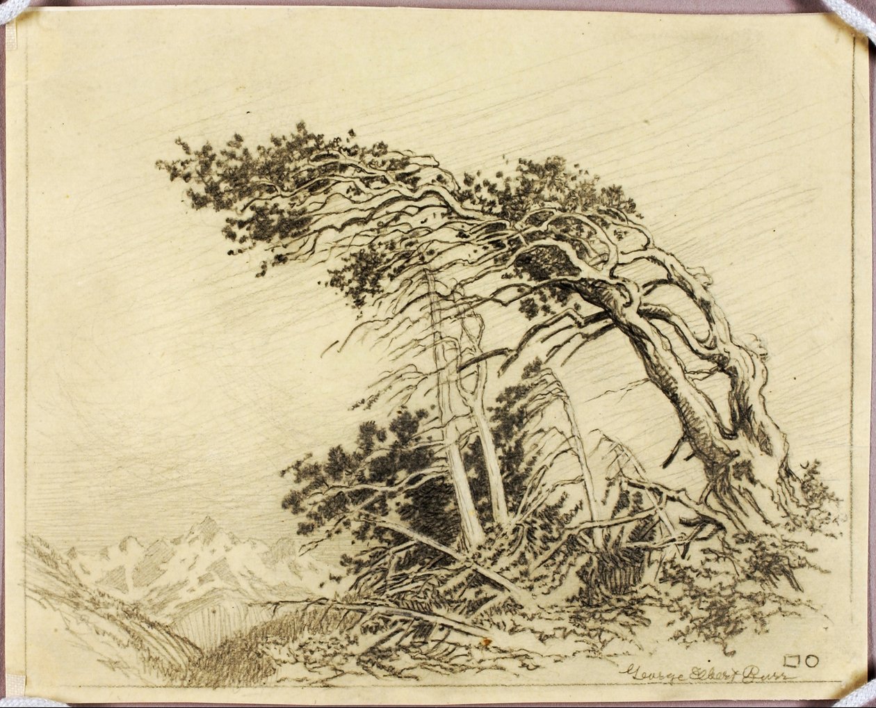 Zonder titel (transfertekening voor The Home of the Winds [nr. 1]) door George Elbert Burr