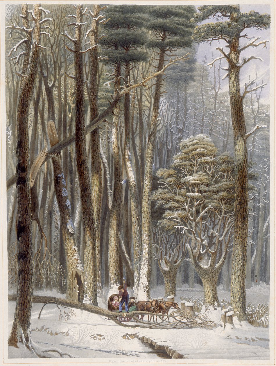 Winter, Belemmerde Reizigers in een Pijnboombos, uit Harveys Scènes van het Primitieve Woud van Amerika door George Harvey