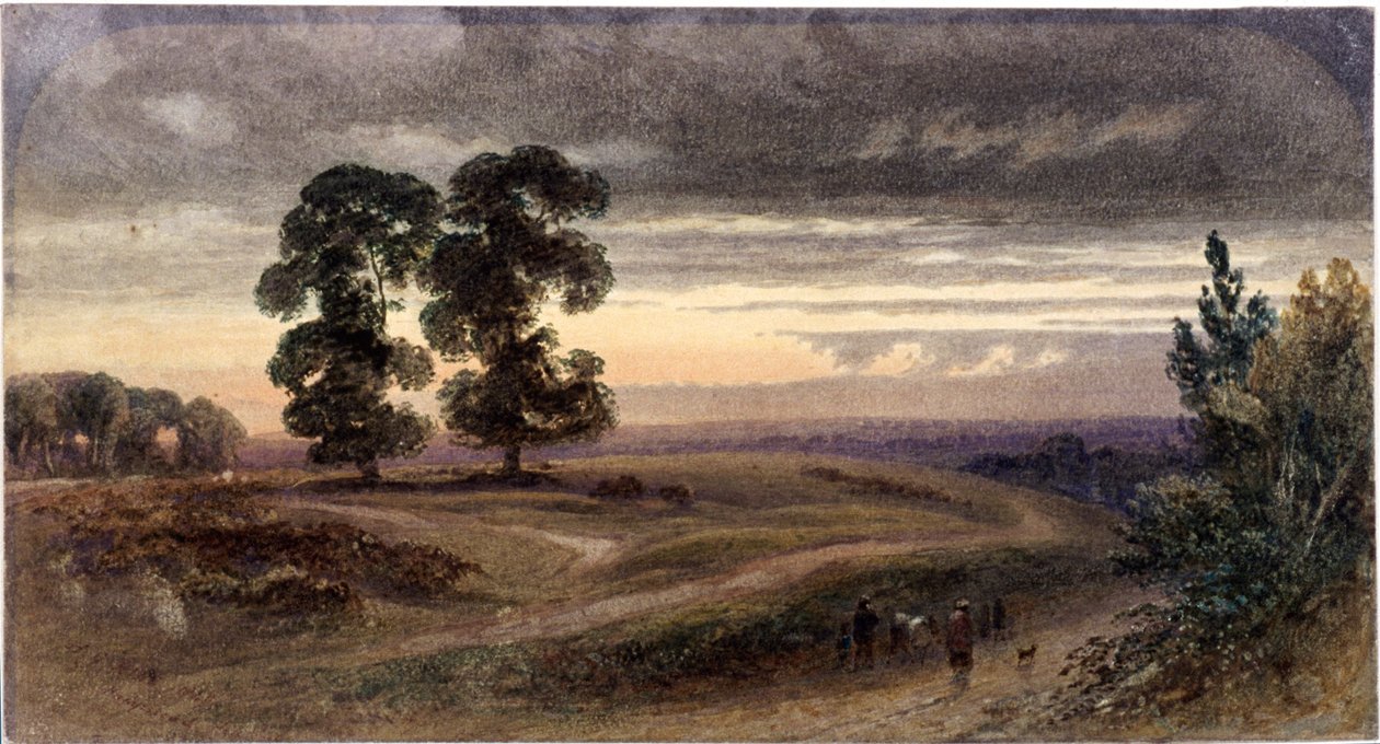 Algemeen uitzicht op Hampstead, Londen door George Henry Hine