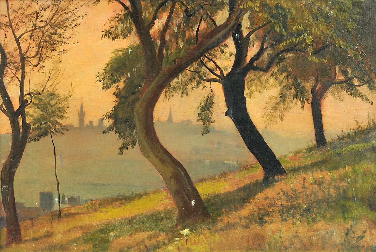 Friedberg in Hessen vanaf de Johannisberg Nauheim, 1903 door George Howard