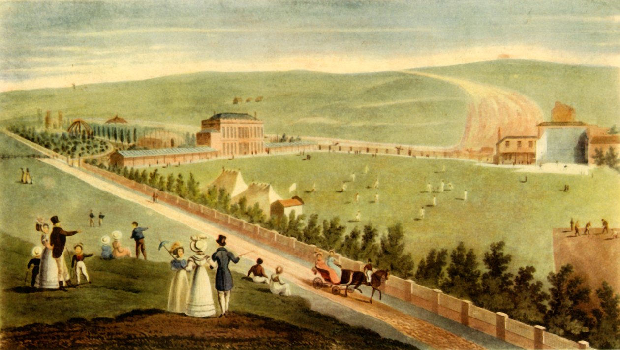 Cricket in Ireland