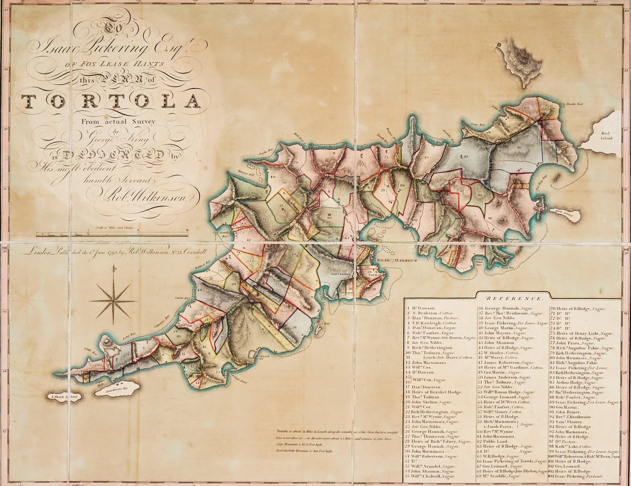 Plan van Tortola van onderzoek door George King door George King