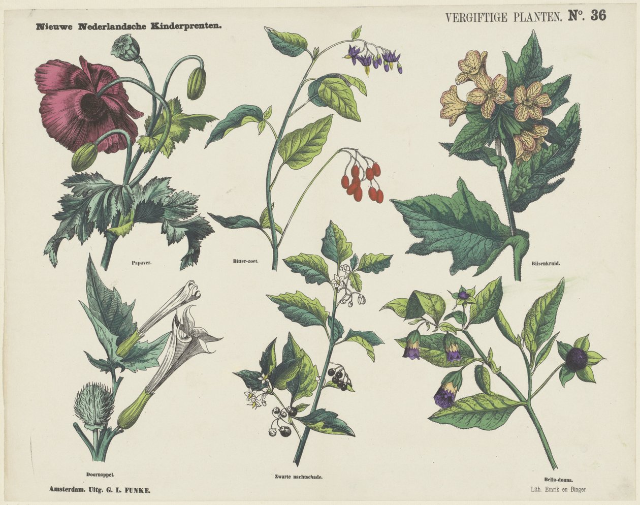 Vergiftige planten (Nieuwe Nederlandsche kinderprenten) door George Lodewijk Funke