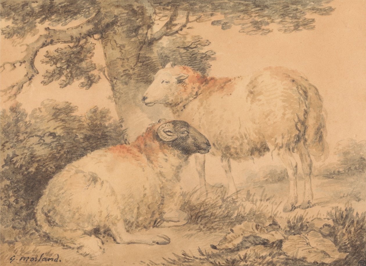 Een ram en een ooi in een landschap door George Morland