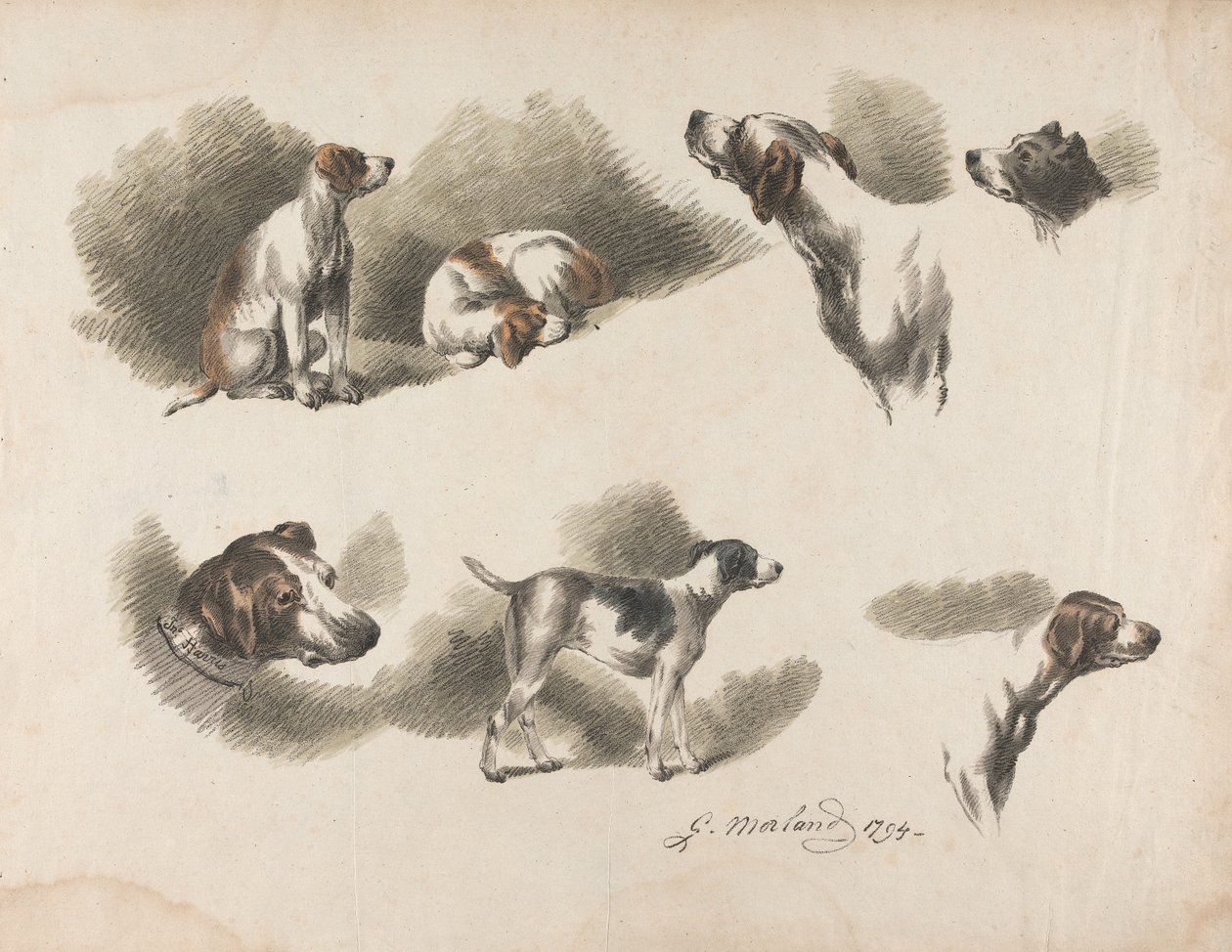 Dieren - Zeven studies van een jachthond op één blad. "Jno. Harris" op de halsband van de jachthond linksonder door George Morland