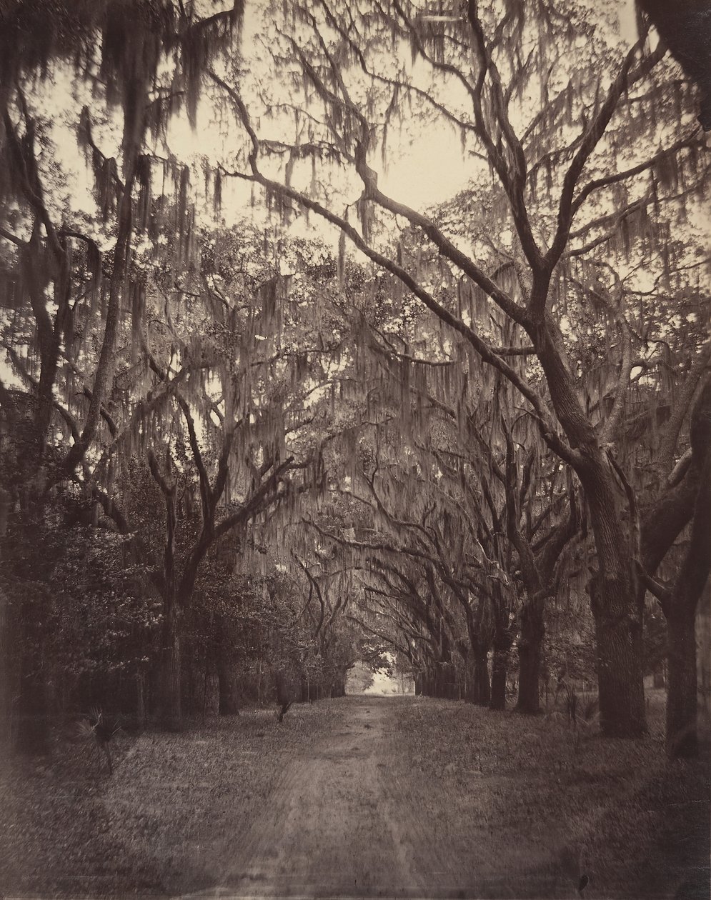 Bonaventure Begraafplaats, vier mijl van Savannah, 1866 door George N. Barnard