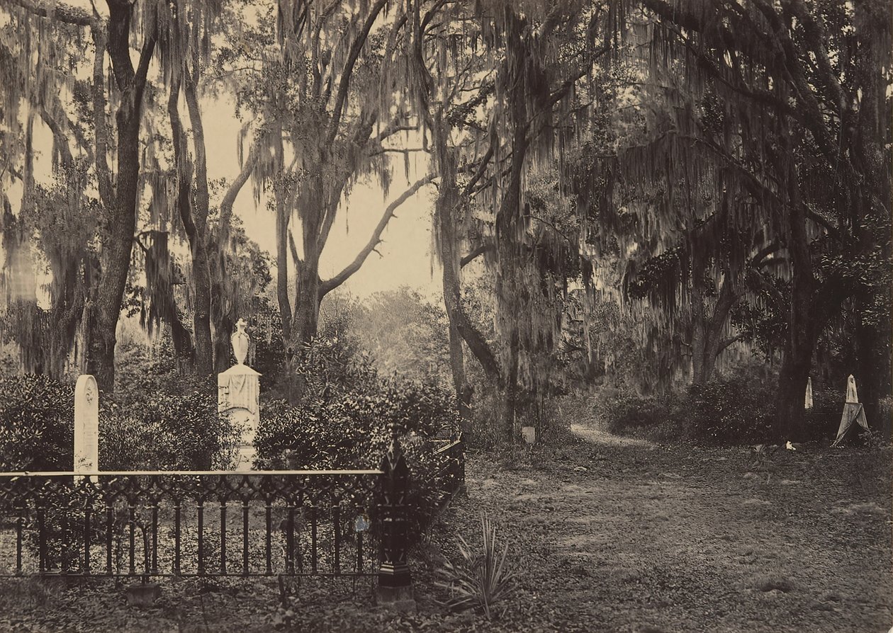Buen-Ventura, Savannah, Georgia door George N. Barnard