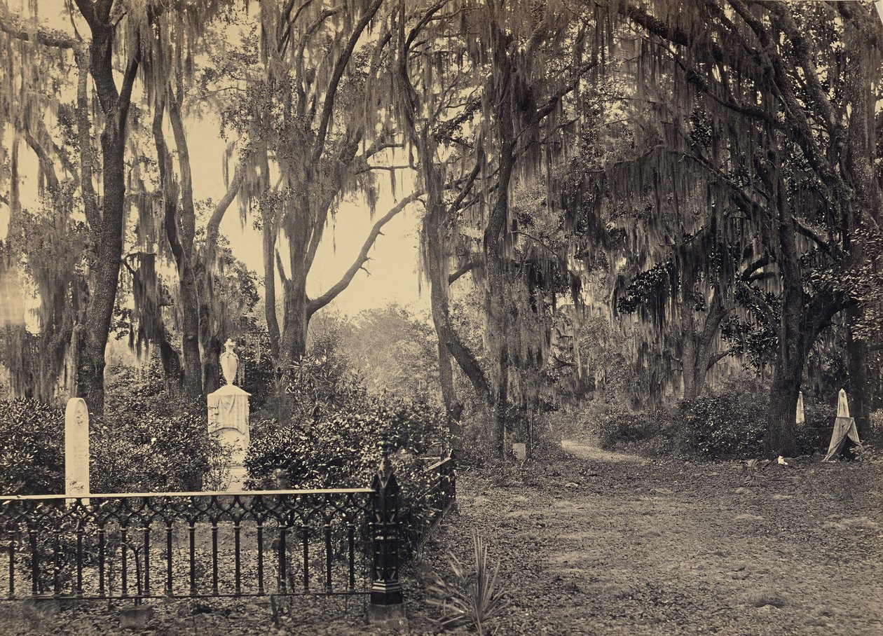 [Buen-Ventura, Savannah, Georgia] door George N. Barnard