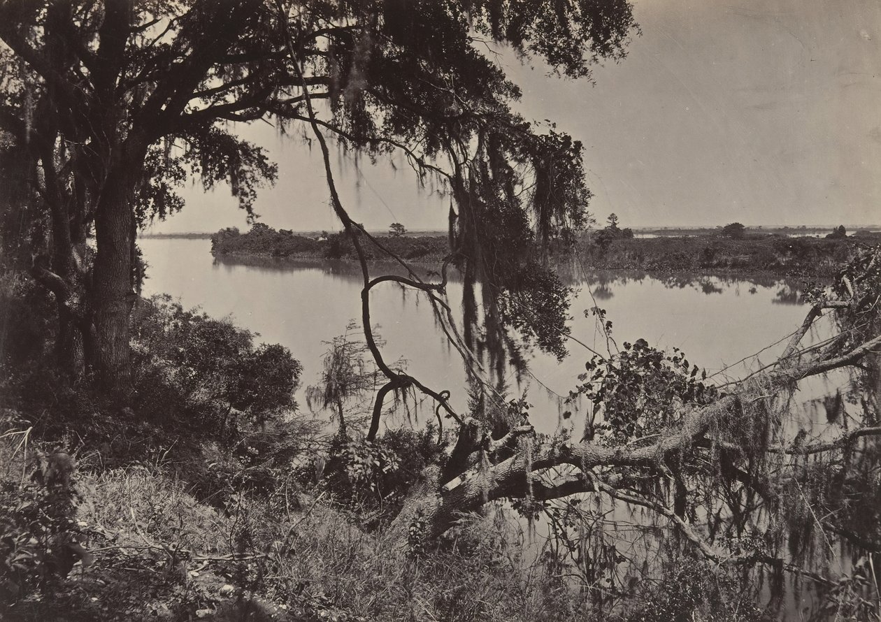 Savannah River, nabij Savannah, Georgia door George N. Barnard