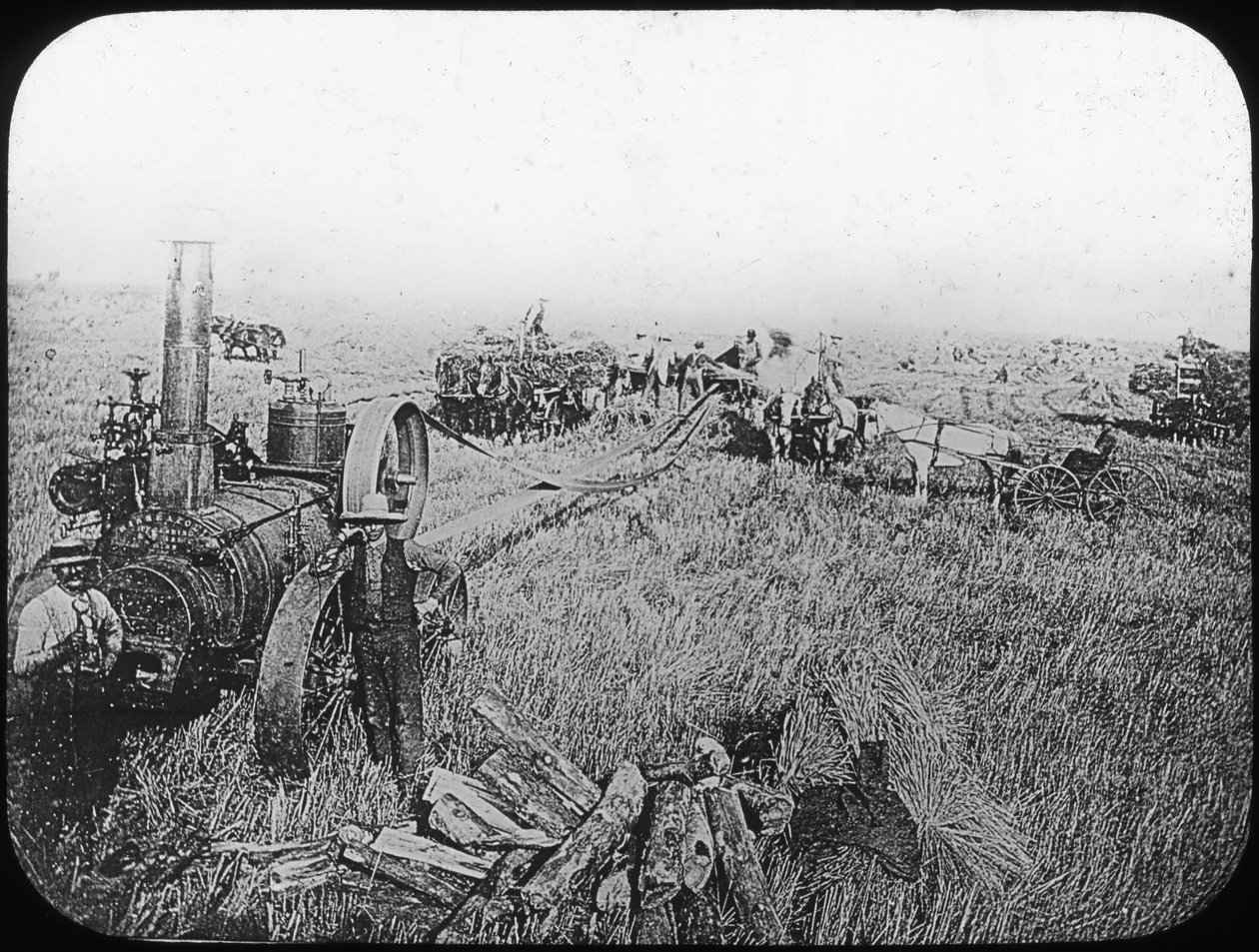 Oogstscène op de Noord-Amerikaanse prairies, eind 19e of begin 20e eeuw door George Philip and Son Ltd