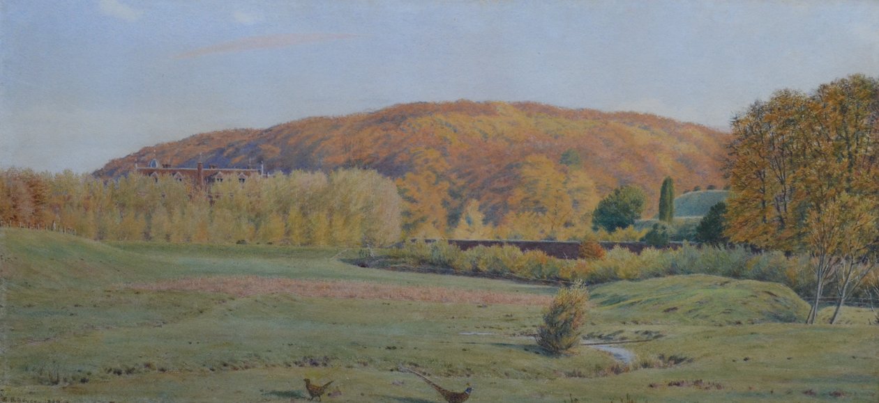 Wotton House, Surrey door George Price Boyce