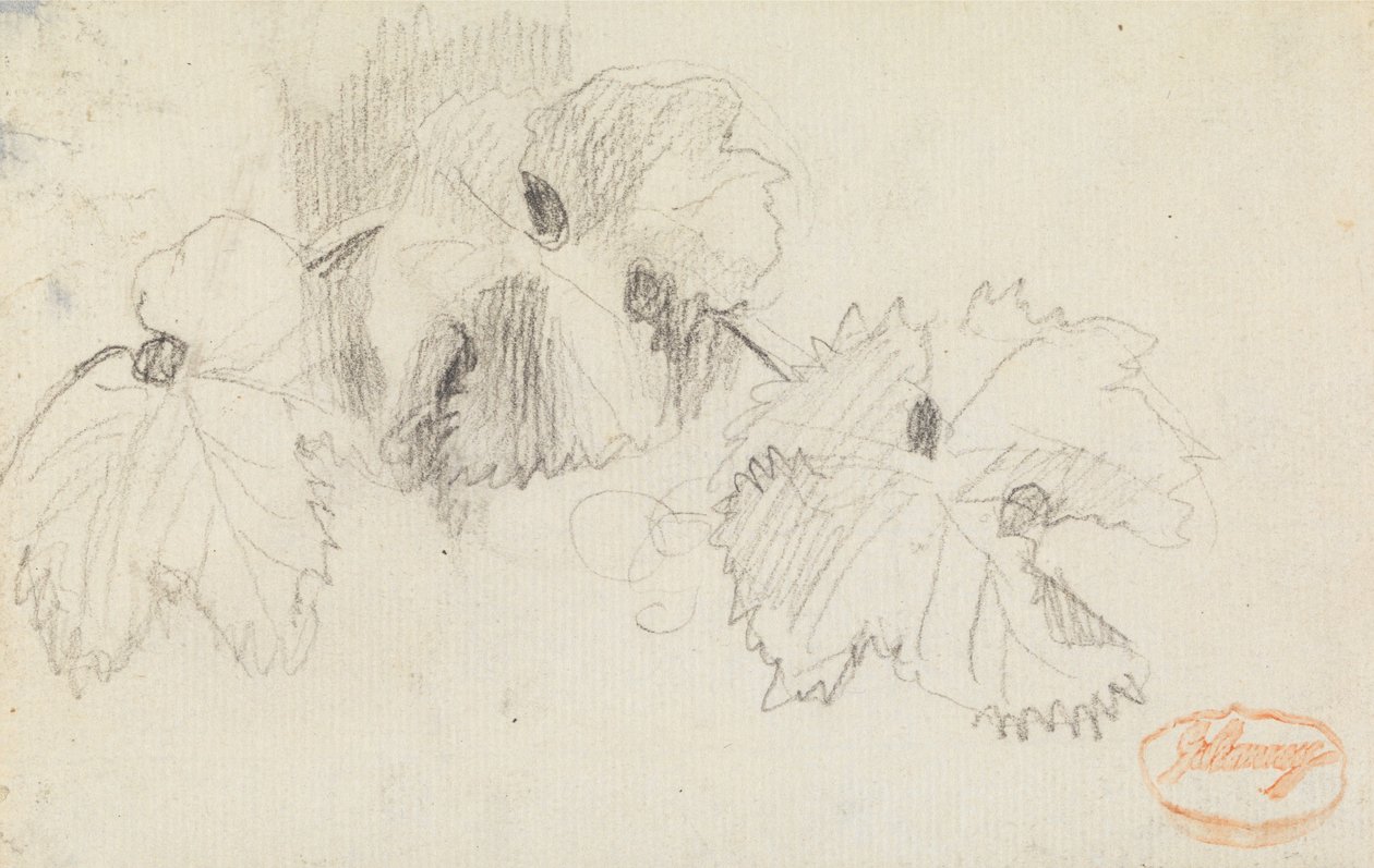 Onderzoek naar bladeren 1 door George Romney
