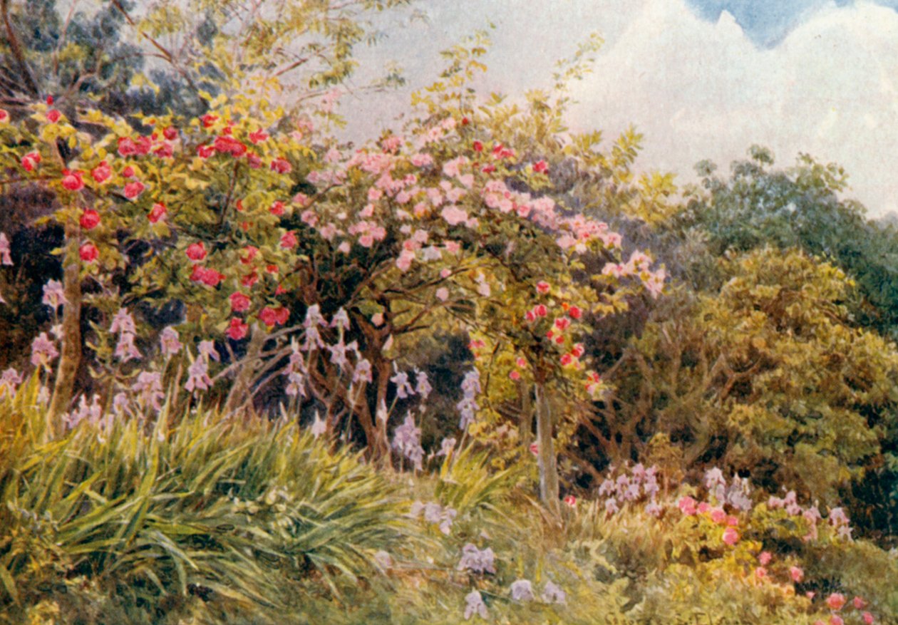 Rozen en irissen (kleurenlitho) door George Samuel Elgood