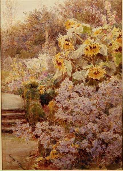 Zonnebloemen in een kruidachtige border door George Samuel Elgood