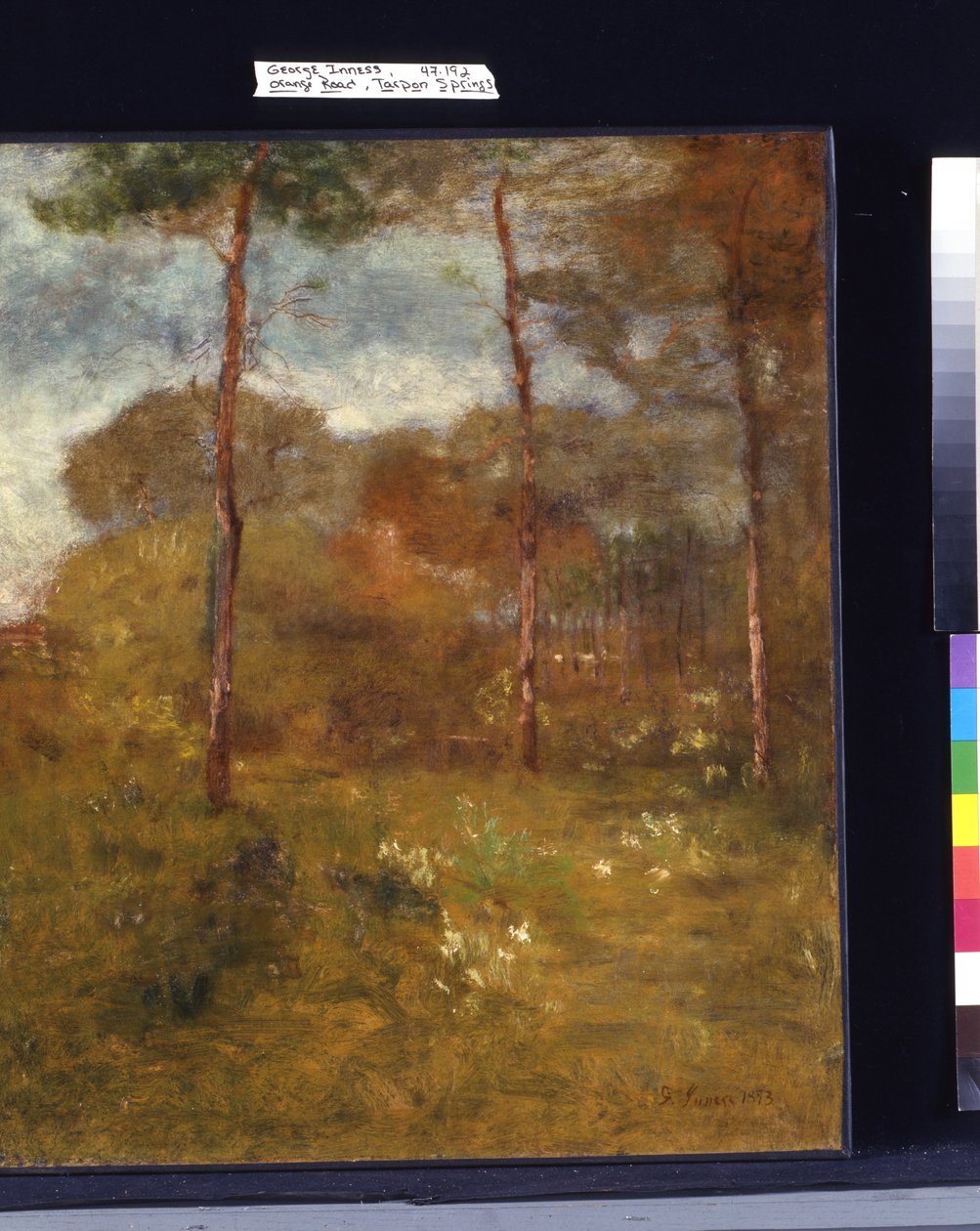 Oranje Weg, Tarpon Springs door George Snr. Inness
