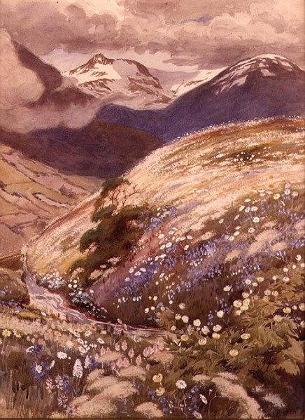 Alpenbloemen door George Soper