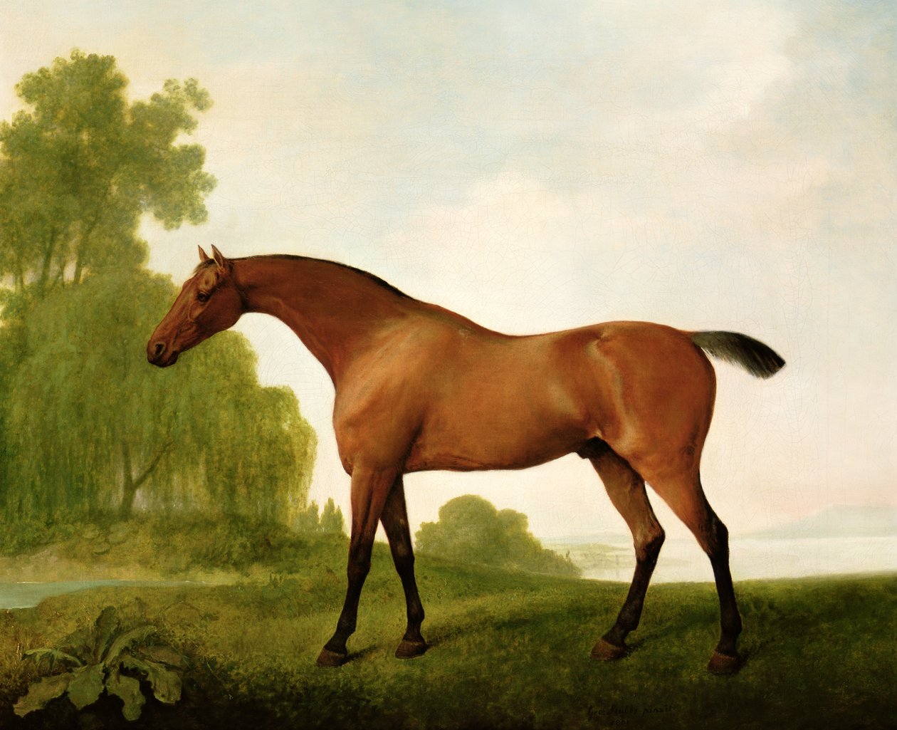 Een Bruine Volbloed in een Landschap door George Stubbs