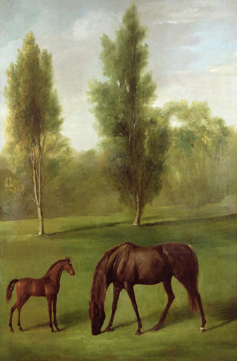 Een Kastanjebruine Merrie en Veulen in een Bosrijk Landschap, ca. 1761-63 door George Stubbs