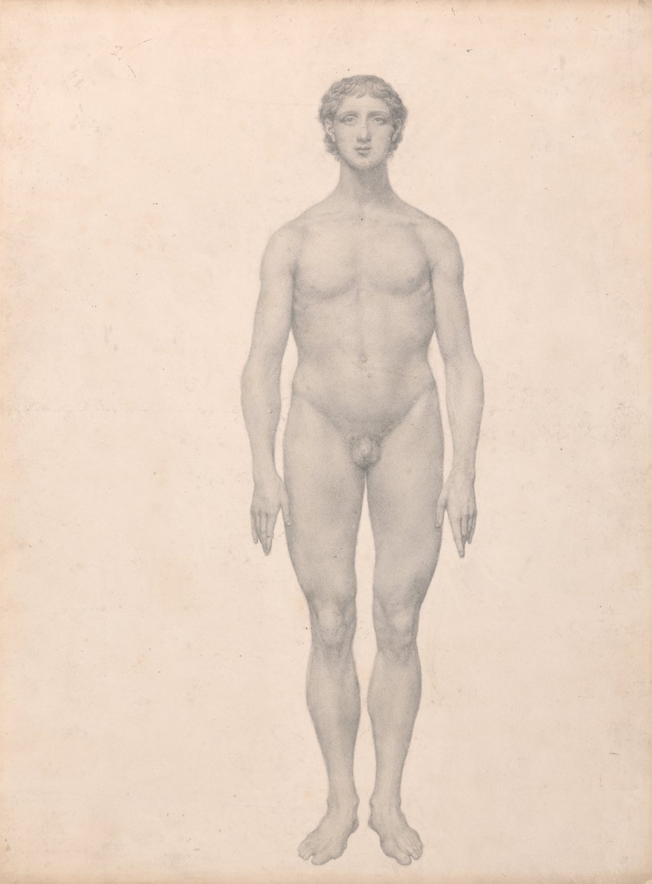 Een vergelijkende anatomische uiteenzetting van de structuur van het menselijk lichaam met dat van een tijger en een hoender:  Menselijke figuur, vooraanzicht, niet ontleed (voltooide studie voor tabel VI) door George Stubbs