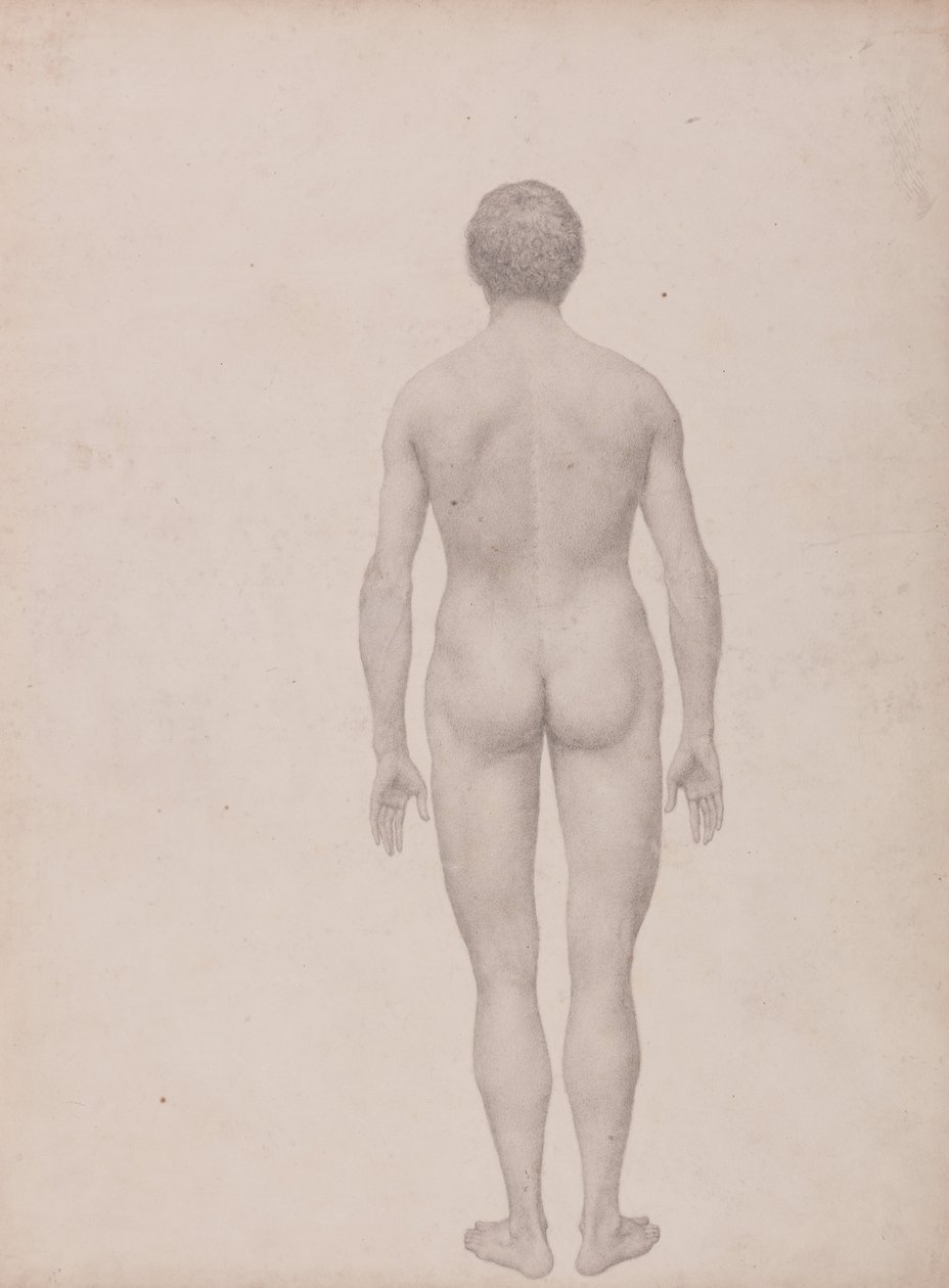 Een vergelijkende anatomische uiteenzetting van de structuur van het menselijk lichaam met dat van een tijger en een hoender: Menselijke figuur, achteraanzicht, niet ontleed (voltooide studie voor tabel VII) door George Stubbs