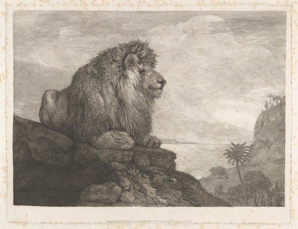 Een leeuw (een leeuw die op een rots rust) door George Stubbs