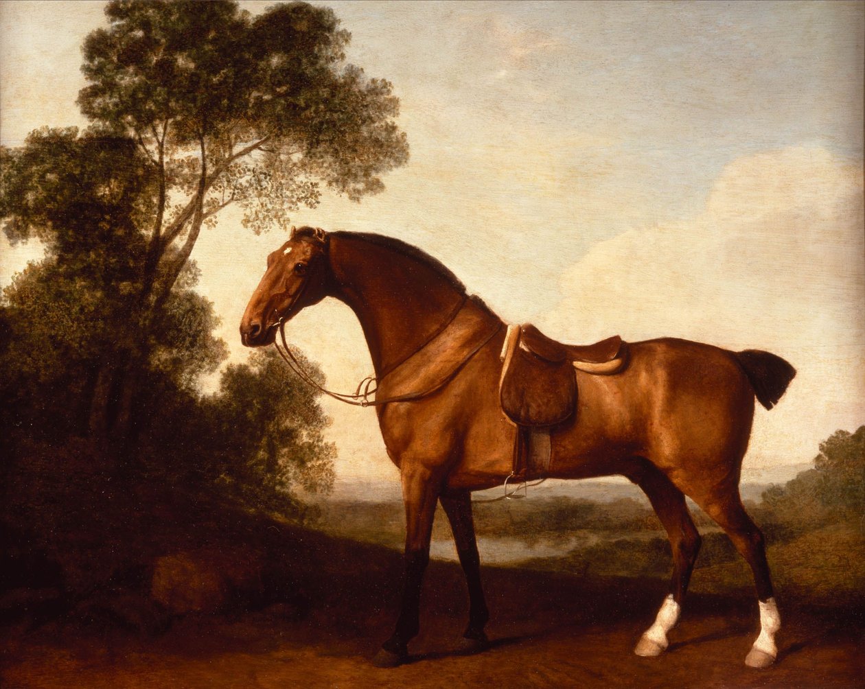 Een opgezadelde baai jager door George Stubbs