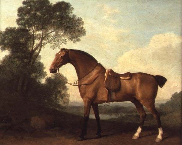 Een Gezadelde Bruine Jager in een Landschap met een Meer Verderop door George Stubbs