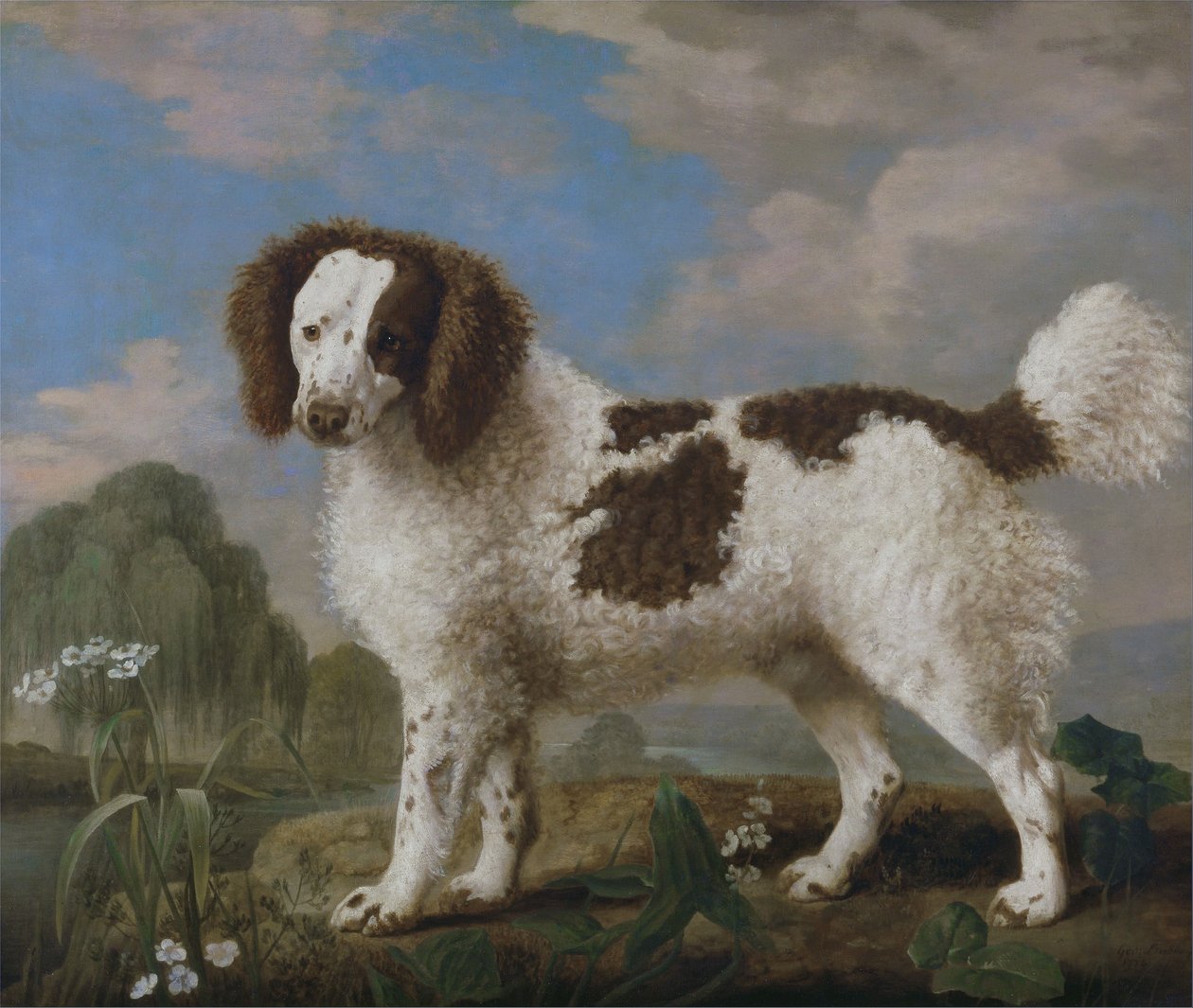 Bruin-witte Norfolk of waterspaniël door George Stubbs