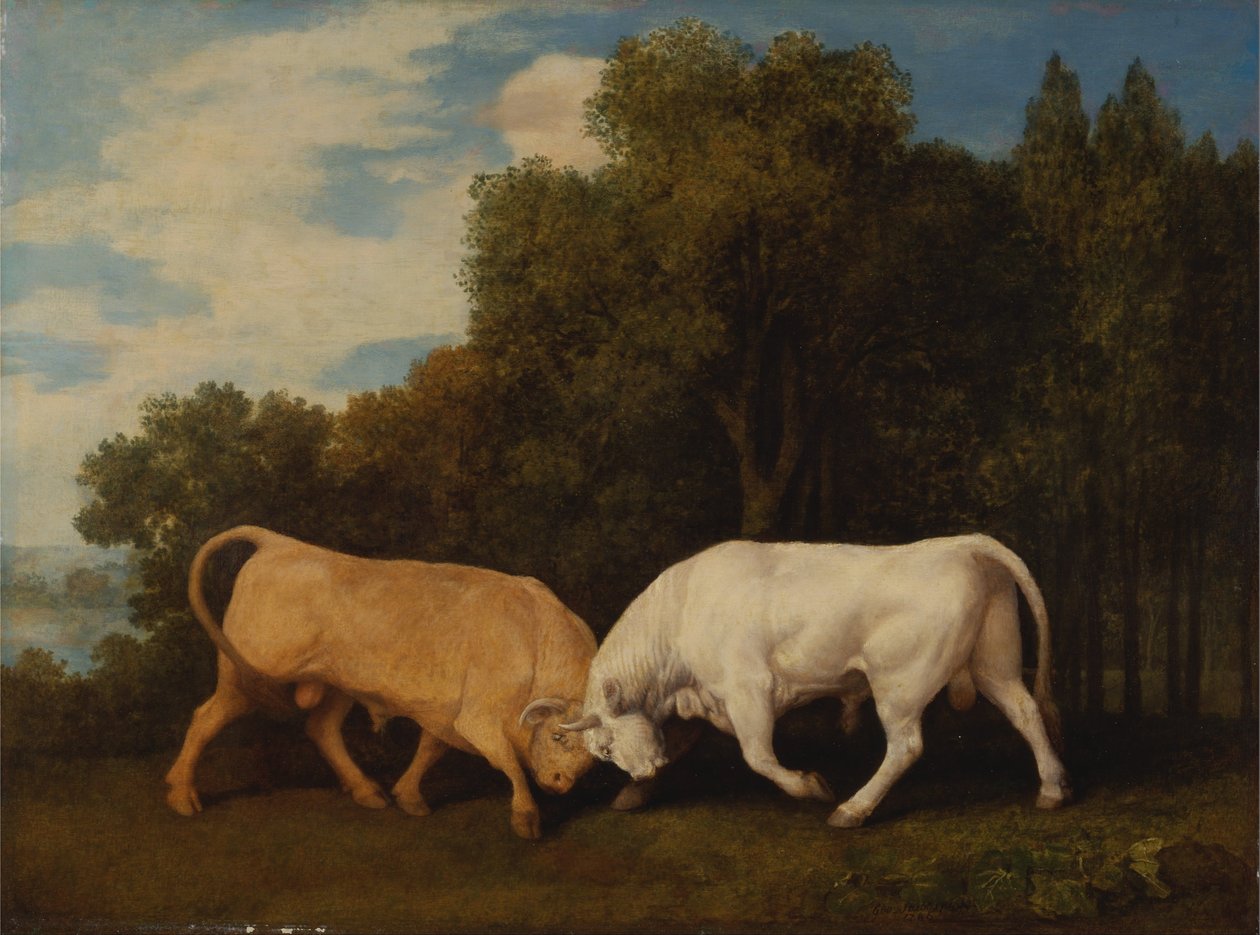 Stierenvechten door George Stubbs