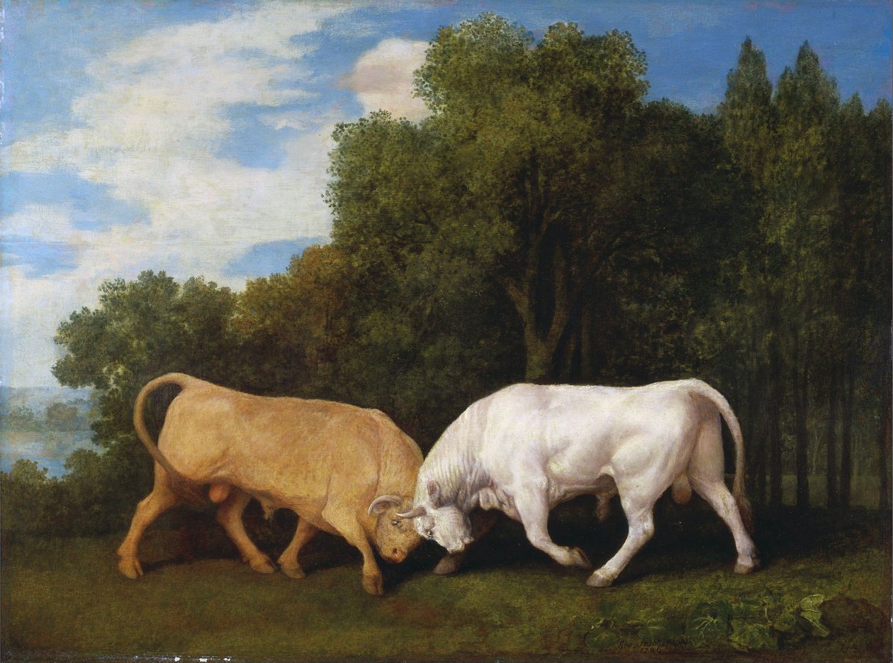 Stierenvechten door George Stubbs