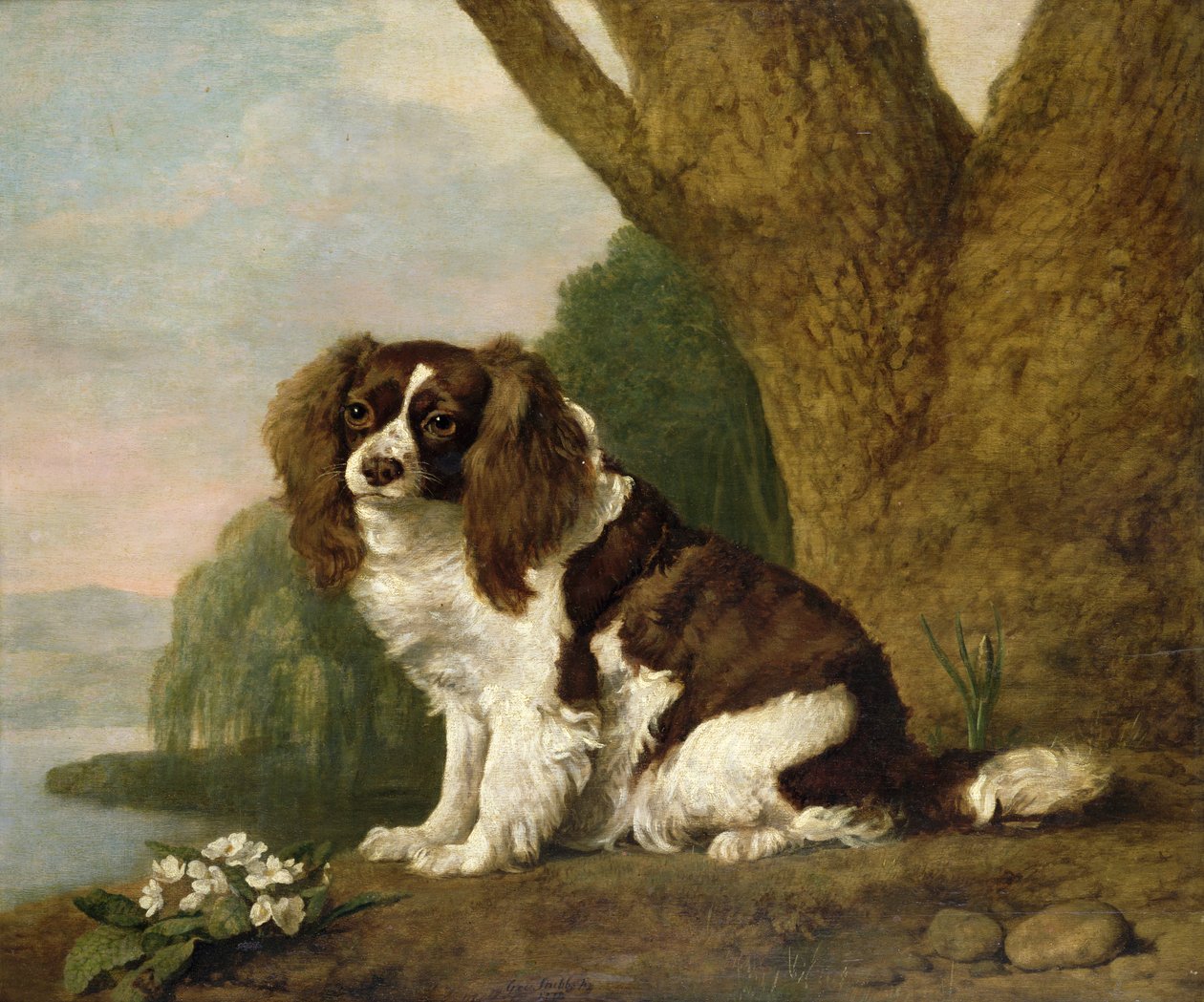 Fanny, een bruine en witte spaniël door George Stubbs