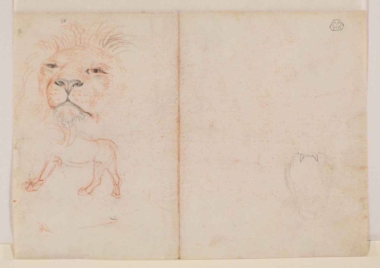 Hoofd van een leeuw, verso, 18e of 19e eeuw door George Stubbs