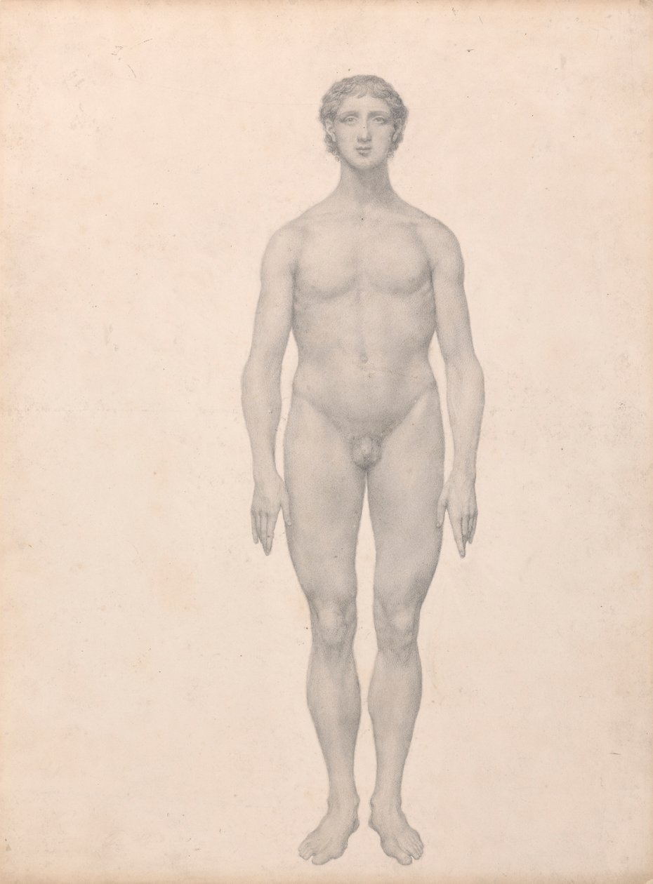 Menselijke figuur, vooraanzicht, ongesneden (Voltooide studie voor Tafel VI) door George Stubbs