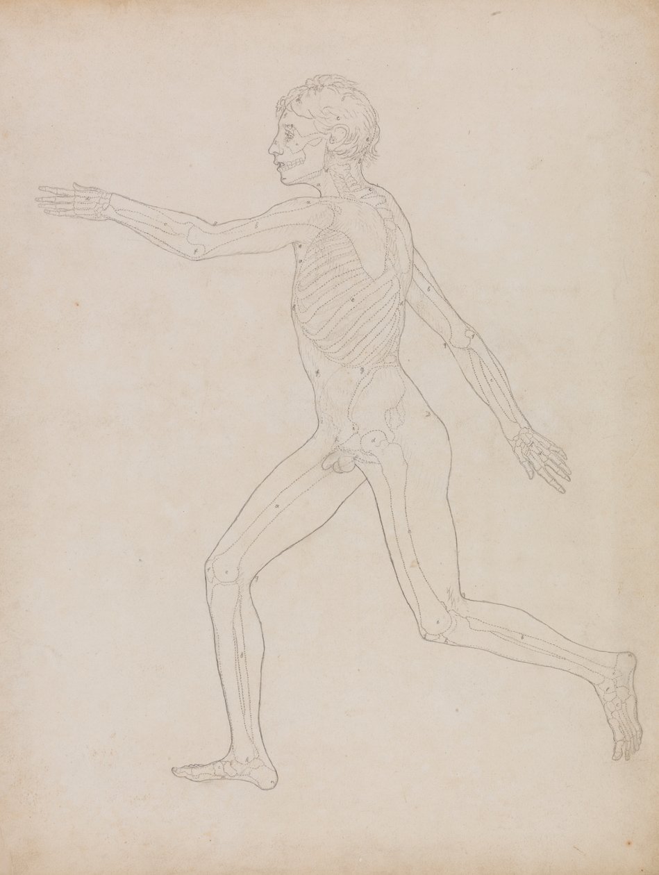 Menselijke figuur, zijaanzicht door George Stubbs