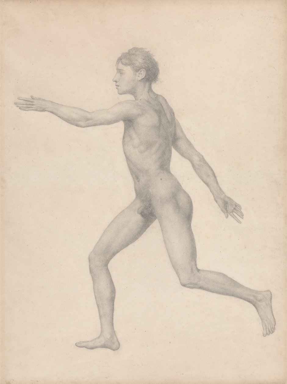 Menselijke Figuur, Lateraal Aanzicht, Ongedissecteerd (Afgewerkte Studie voor Tafel VIII) door George Stubbs
