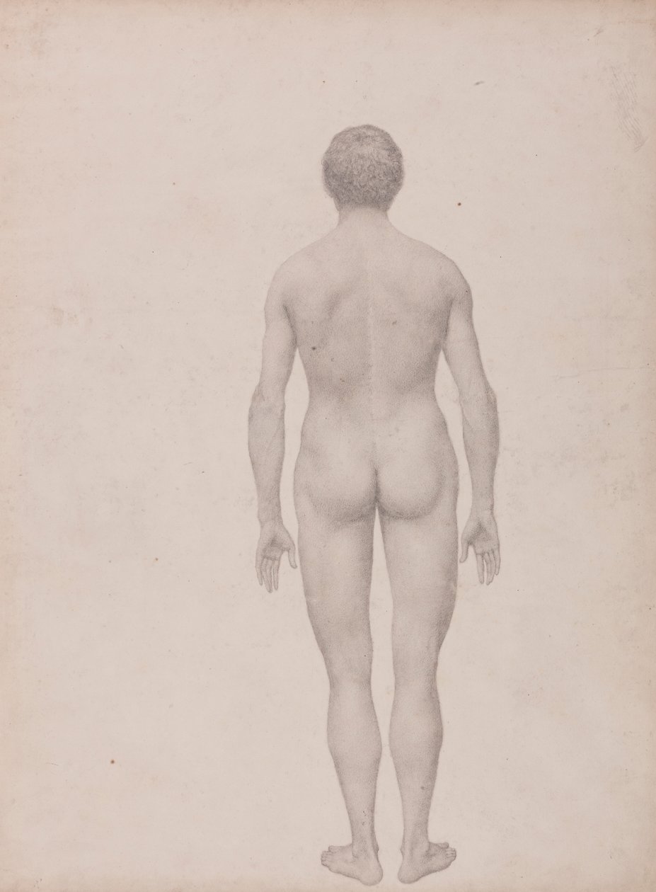 Menselijke figuur, achteraanzicht, ongedissecteerd (afgewerkte studie voor Tabel VII) door George Stubbs