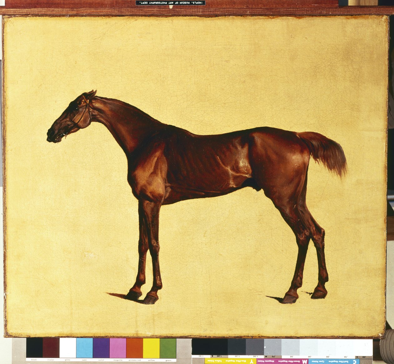 Pangloss door George Stubbs