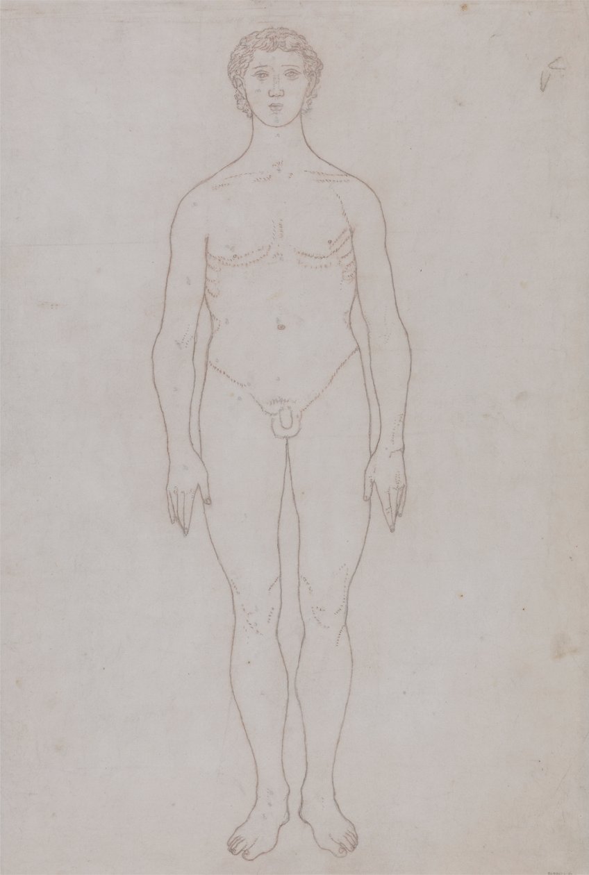 Studie van het Menselijk Lichaam, Vooraanzicht (Omtrektekening voor Tabel VI) door George Stubbs