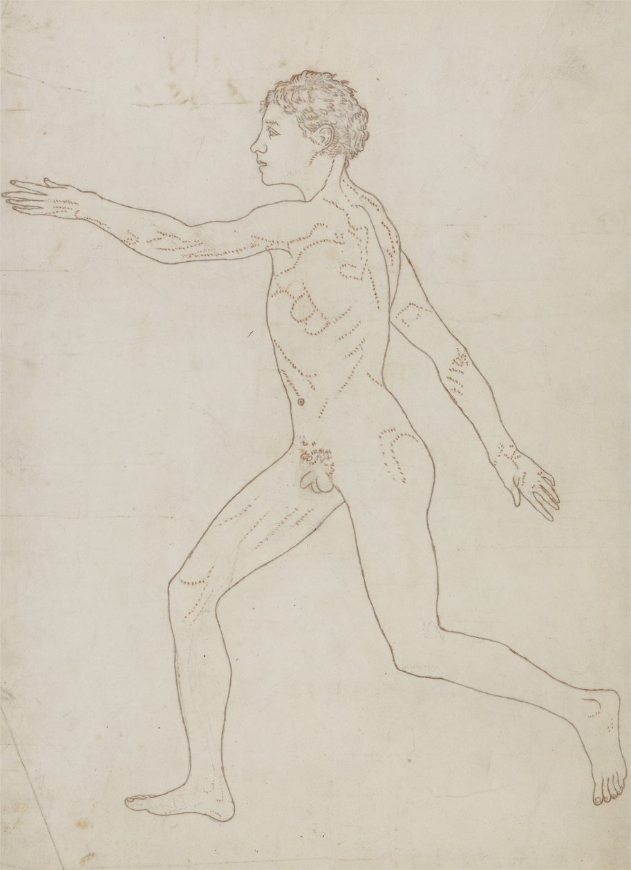 Studie van de Menselijke Figuur, Lateraal Aanzicht, uit 