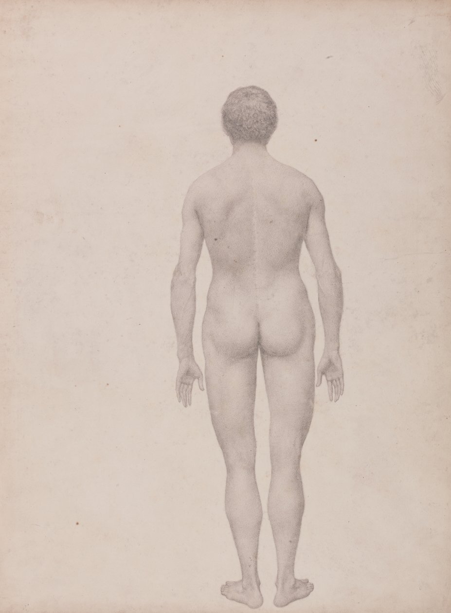Studie van het Menselijk Lichaam, Posterieure Weergave, Ongedissecteerd, Voltooide Studie voor Tabel VII, uit Een Vergelijkende Anatomische Expositie van de Structuur van het Menselijk Lichaam met die van een Tijger en een Gewone Vogel door George Stubbs