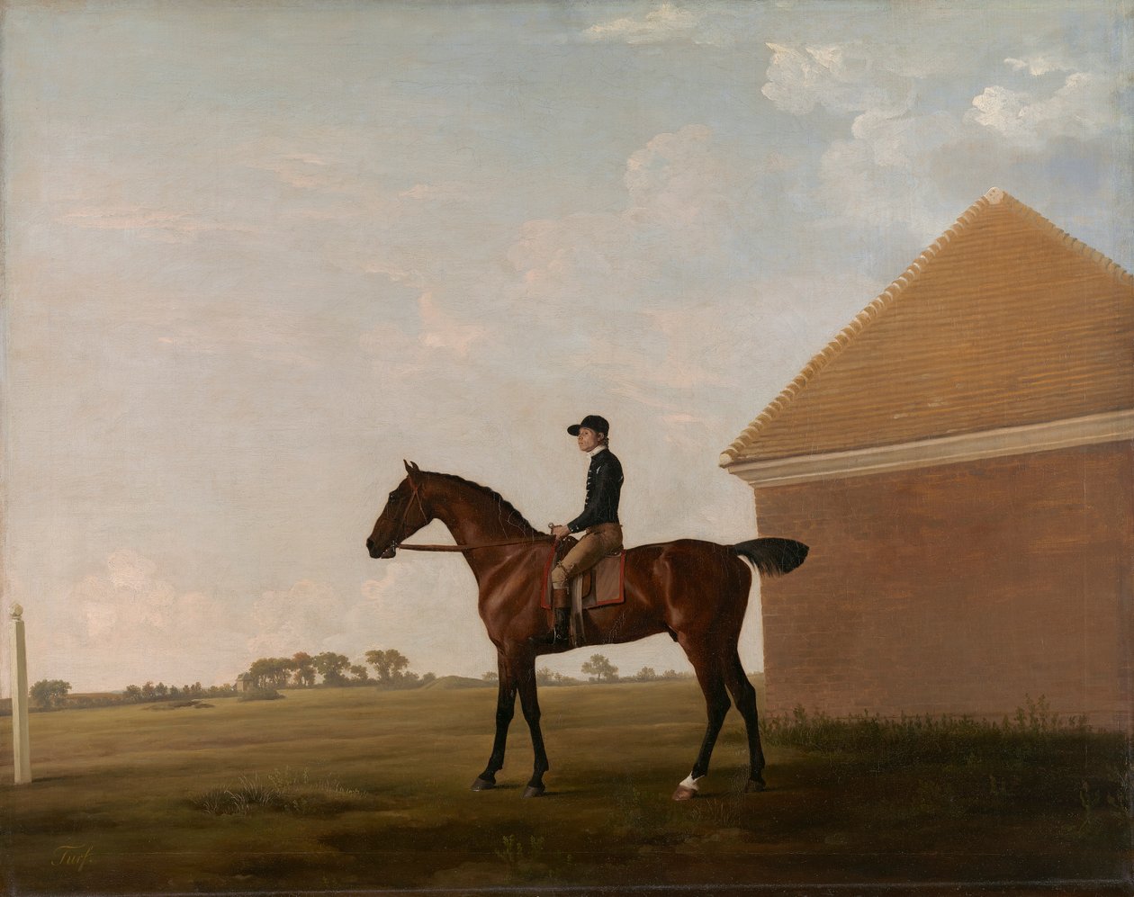 Turf, met jockey, in Newmarket door George Stubbs
