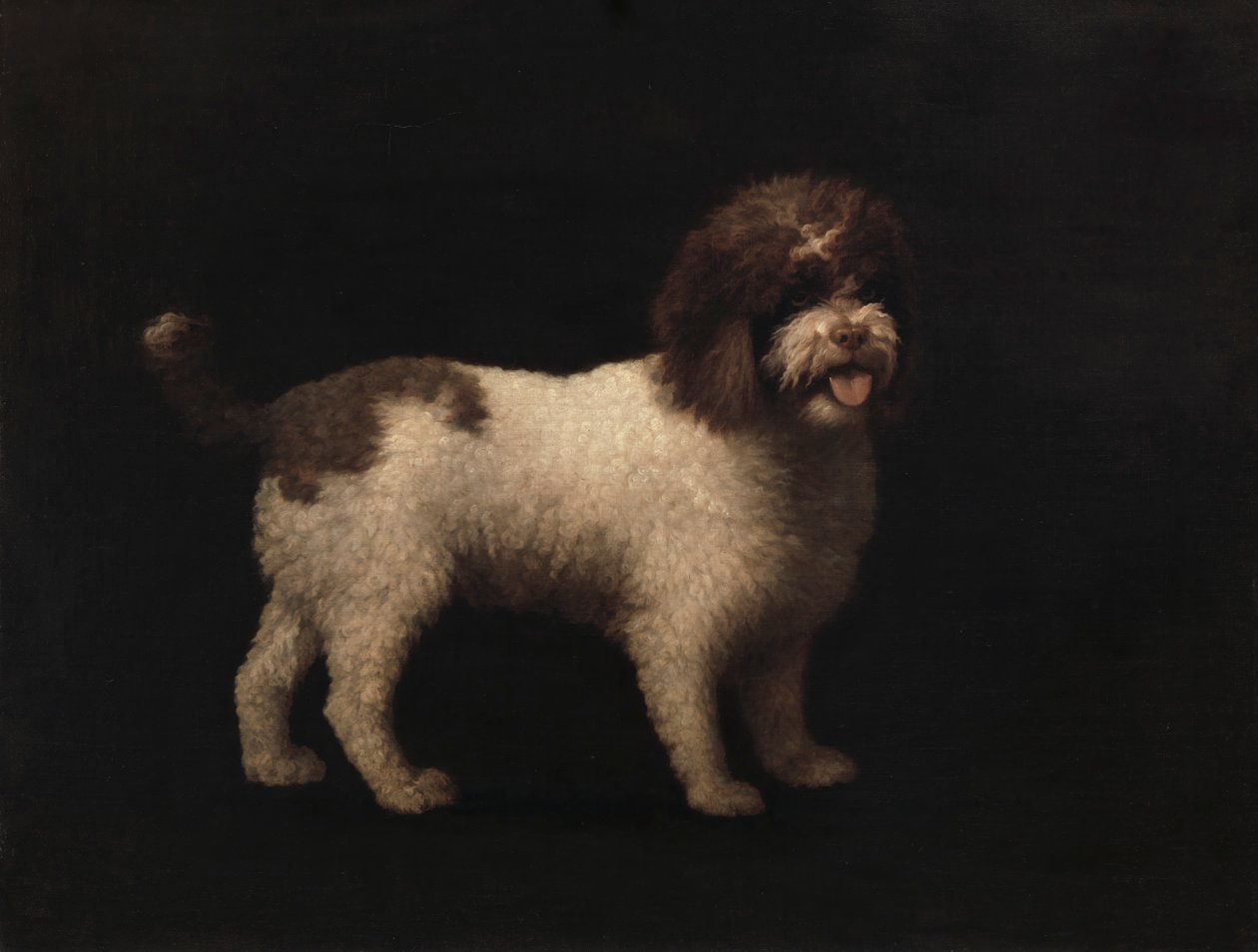 Water Spaniël door George Stubbs
