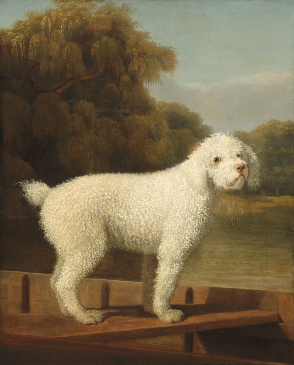 Witte poedel in een punter, c. 1780 door George Stubbs