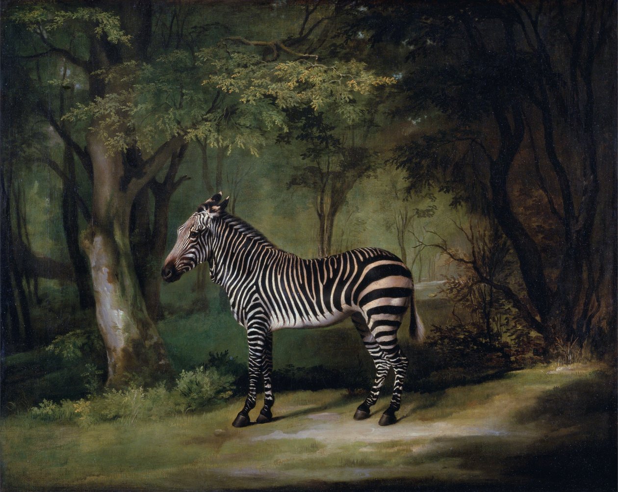 Zebra door George Stubbs