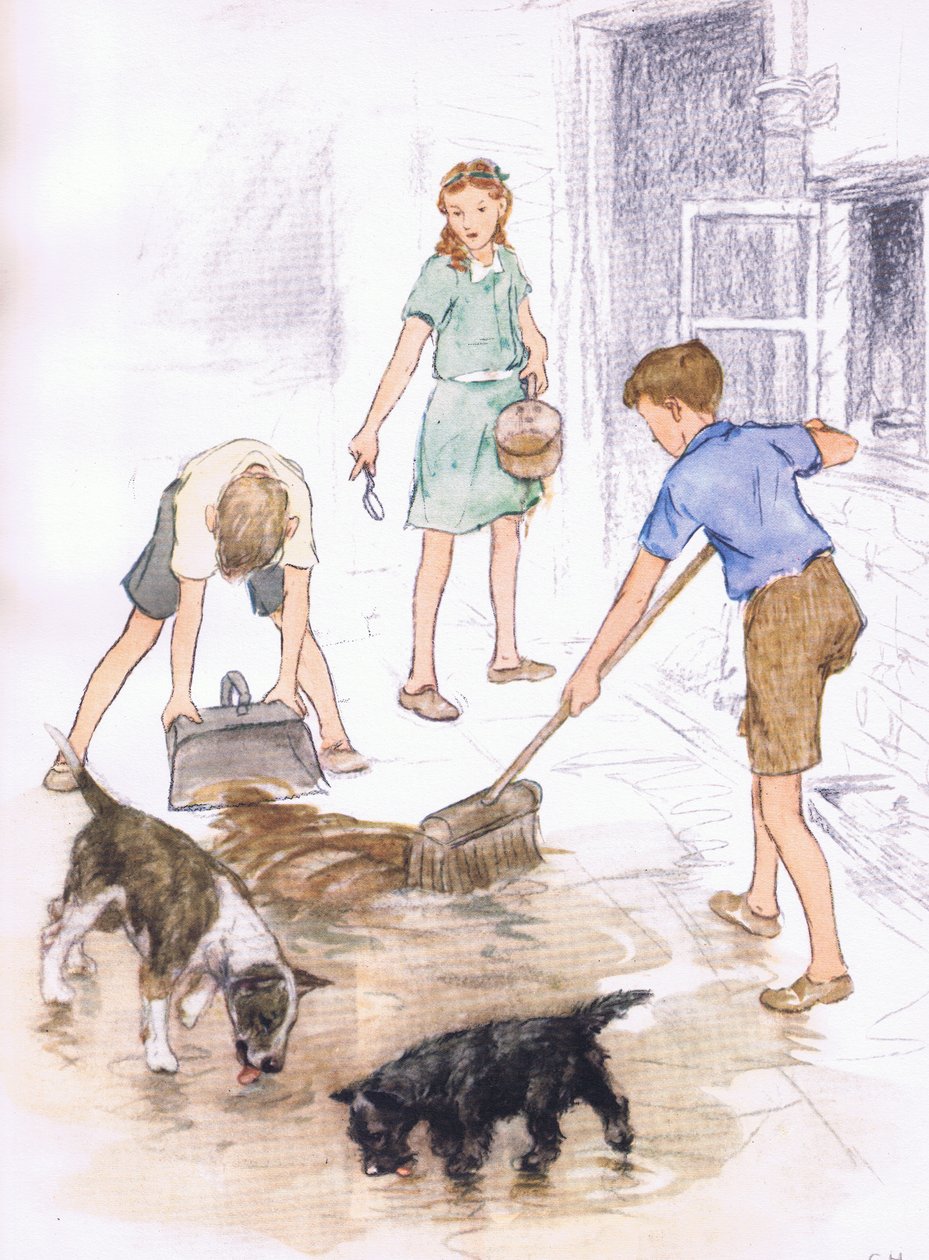 Het was een vrolijke klus, van Pets Limited uitgegeven door Collins door George Vernon Stokes