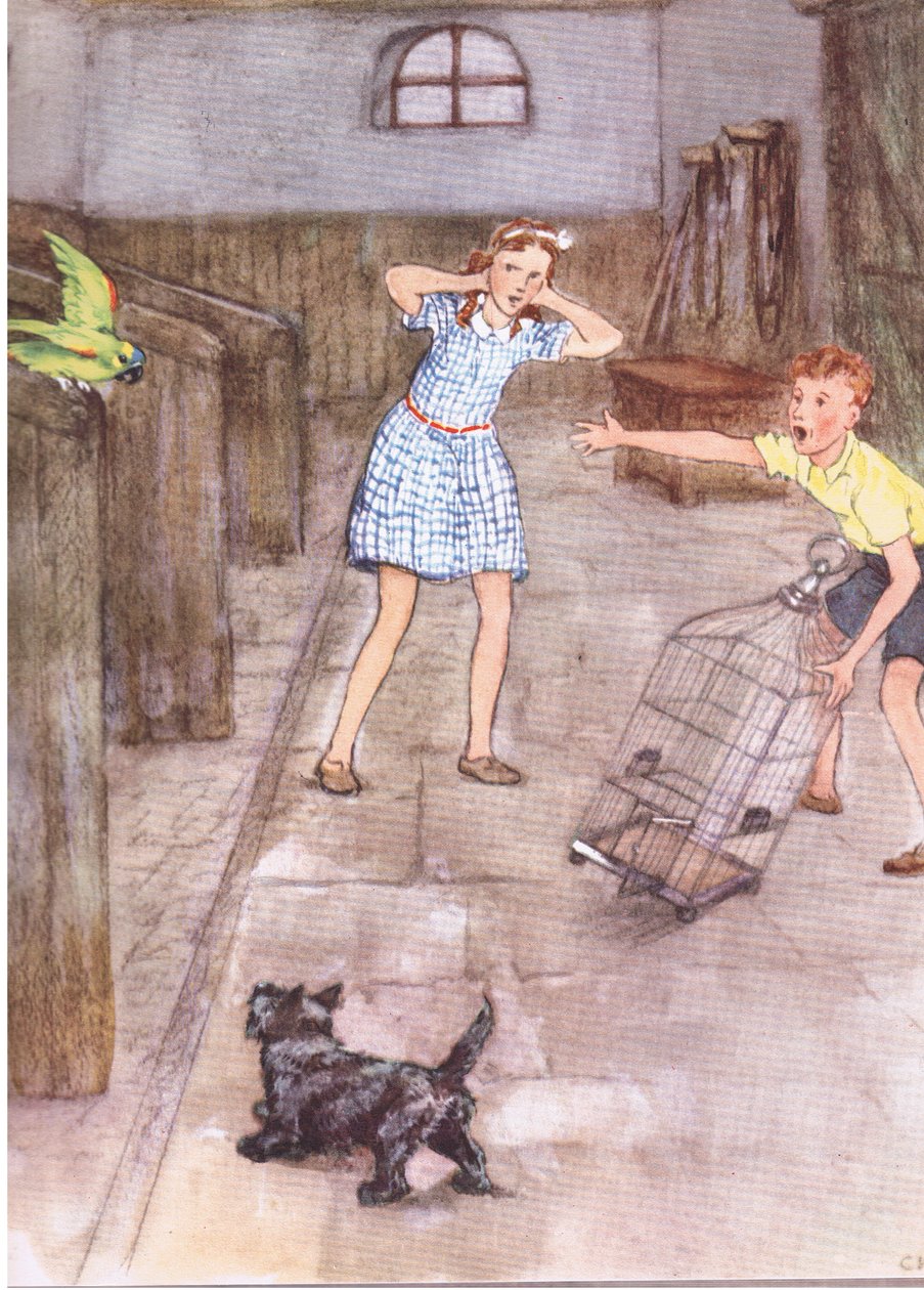 De papegaai begon onbeschofte dingen te zeggen, uit Pets Limited uitgegeven door Collins door George Vernon Stokes
