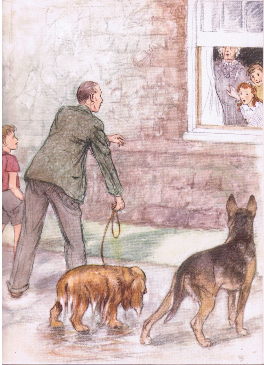 De spaniels zaten vol modder en slijm, uit Pets Limited uitgegeven door Collins door George Vernon Stokes