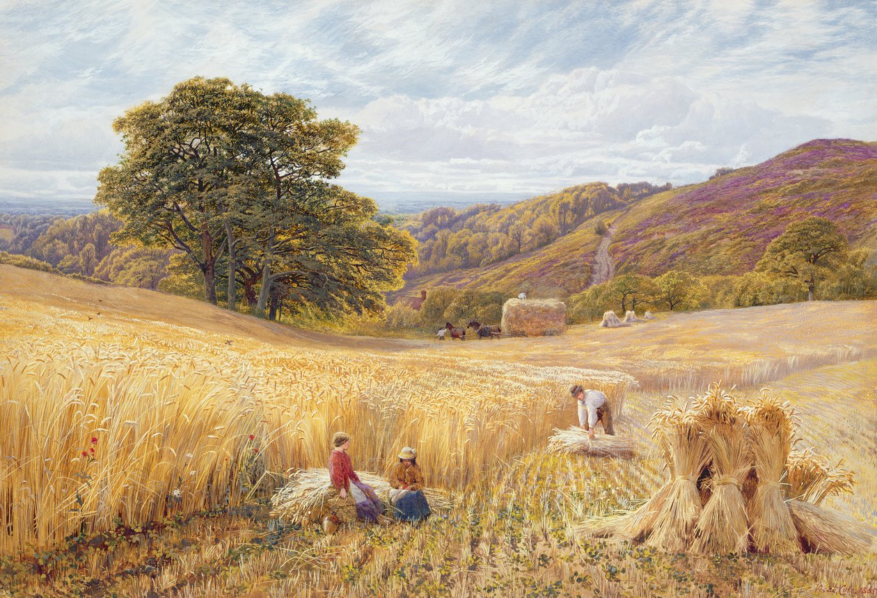 Oogsttijd nabij Holmbury Hill, Surrey, 1865 door George Vicat Cole