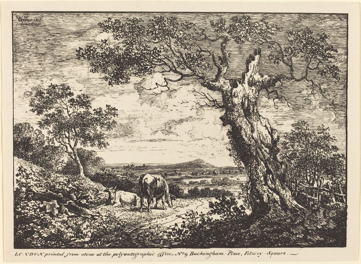 Landschap met Twee Koeien door George Walker