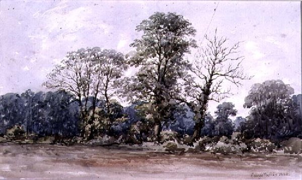 Bomen bij Perry Bar nabij Birmingham, 19e eeuw door George Augustus Wallis